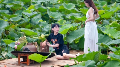 Hanoi's lotus pond begins to fill with "muses"