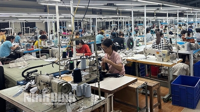 6 tháng đầu năm GRDP tỉnh Ninh Bình xếp thứ 6 11 tỉnh thành phố trong khu vực