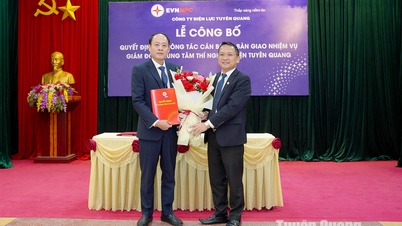 ក្រុមហ៊ុនអគ្គិសនី Tuyen Quang តែងតាំងនាយកមជ្ឈមណ្ឌលសាកល្បងអគ្គិសនី Tuyen Quang