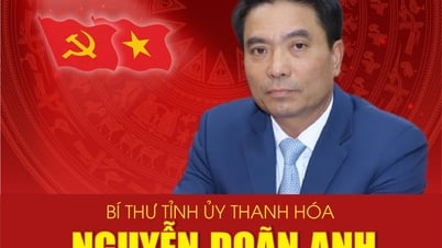 El teniente general Nguyen Doan Anh ocupa el cargo de secretario del Comité del Partido Provincial de Thanh Hoa.