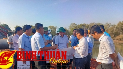 ការបោសសំអាតទីតាំងបន្ទាន់