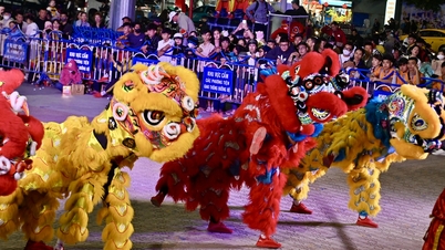 តោគួរឱ្យទាក់ទាញ - តោ - ការប្រកួតនាគនៅក្នុងទីក្រុង។ ញ៉ាត្រាង