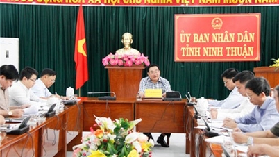 គណៈកម្មាធិការប្រជាជនខេត្តបានបើកកិច្ចប្រជុំដើម្បីស្តាប់របាយការណ៍ស្តីពីការអនុវត្តការបូមខ្សាច់កំពង់ផែនេសាទ និងផ្លូវទឹក និងសំណើដំណោះស្រាយសម្រាប់ការផ្គត់ផ្គង់ទឹកក្នុងតំបន់ផលិតបន្លែ An Hai ។