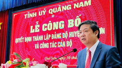 Công bố quyết định thành lập Đảng bộ huyện Quế Sơn (mới)