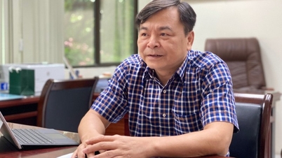 Thứ trưởng Bộ Nông nghiệp: ‘Lũ tại miền Bắc đang rất căng’