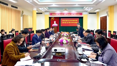 Nhan Dan Newspaper delegation works in the province