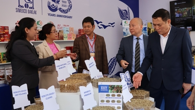 The trademark “Buon Ma Thuot Coffee” has been protected by 32 countries.