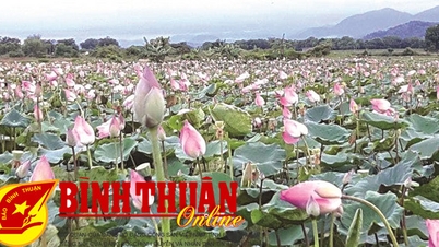 នៅរដូវផ្កាឈូករបស់ឌុកលីន