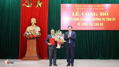 Công bố Quyết định chuẩn y Bí thư Huyện ủy Quỳnh Lưu