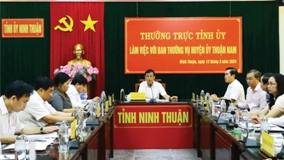 Standing Committee of Provincial Party Committee works with Standing Committee of Thuan Nam District Party Committee