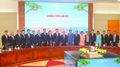 Strengthening cooperation between Hai Phong city and Guangxi province (China)