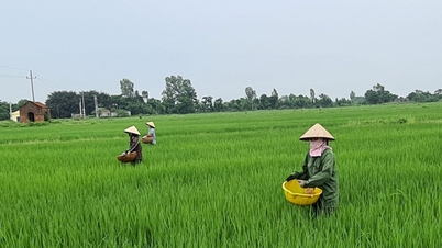 គោលការណ៍​៦​យ៉ាង​នៃ​ការ​បំប្លែង​រចនាសម្ព័ន្ធ​ដំណាំ និង​បសុសត្វ​លើ​ដី​ដាំ​ស្រូវ
