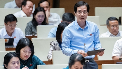 National Assembly Delegate of Hai Duong Province Points Out Loopholes in the Law on Property Auction