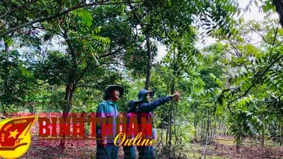 Bảo vệ rừng – sự sống còn. Bài 2