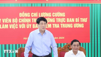 Xử lý dứt điểm các vụ việc liên quan đến Vạn Thịnh Phát, Phúc Sơn và Thuận An