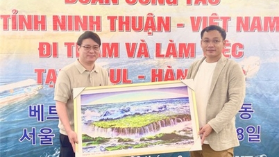 សមាគមទេសចរណ៍ Ninh Thuan ស្ទង់មតិទេសចរណ៍នៅប្រទេសកូរ៉េ