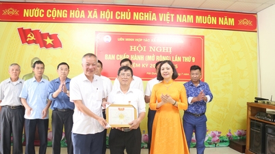 បុគ្គលចំនួន ១១ នាក់នៅទីក្រុង Hai Duong បានទទួលមេដាយសម្រាប់ការរួមចំណែករបស់ពួកគេក្នុងការអភិវឌ្ឍន៍កិច្ចសហប្រតិបត្តិការ។