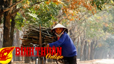 ឡានអុសចុងក្រោយប្រចាំឆ្នាំ