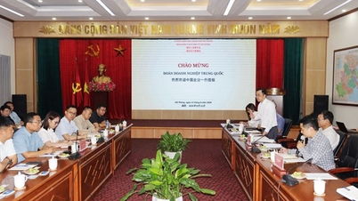 Chinesische Wirtschaftsdelegation erkundet Investitionsmöglichkeiten in der Lieferung und Herstellung von Komponenten für Windkraftanlagen in Haiphong