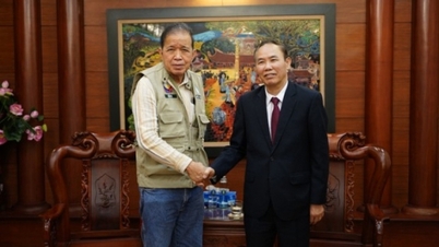 Philippinen wollen 500.000 weitere Dosen Impfstoff gegen die Afrikanische Schweinepest aus Vietnam kaufen