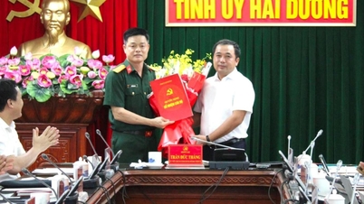 Ban Bí thư chuẩn y Đại tá Vũ Hồng Anh tham gia Ban Thường vụ Tỉnh uỷ Hải Dương