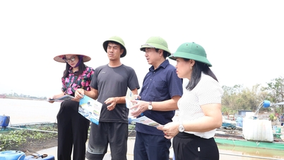 Oxygen levels in some fish cages in Hai Duong are lower than standard levels.