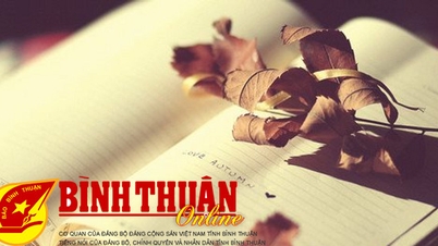 Der Golden Leaf-Brief