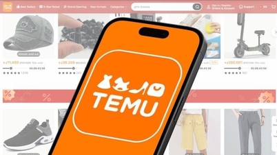 How does Temu pay taxes in Vietnam?