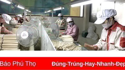 Vững tin, tăng tốc phục hồi trong năm mới