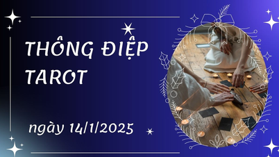 Thông điệp Tarot ngày 14/1/2025 cho 12 cung hoàng đạo: Kim Ngưu bốc lá...