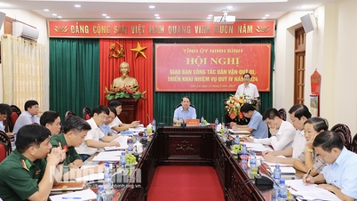 កិច្ច​ប្រជុំ​ការងារ​ចលនា​មហាជន​ត្រីមាស​ទីបី