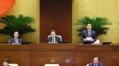 Thông cáo báo chí số 8, Kỳ họp thứ 7, Quốc hội khóa XV
