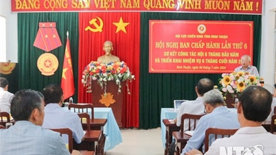 Hội Cựu chiến binh tỉnh triển khai nhiệm vụ 6 tháng cuối năm