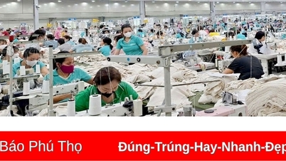 Giải quyết việc làm tăng thêm cho hơn 54.000 người