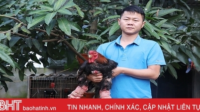 Nông dân Hà Tĩnh chăm vật nuôi đặc sản phục vụ thị trường tết