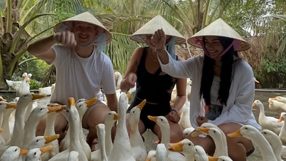 Netizens say it's expensive, what do Western customers say?
