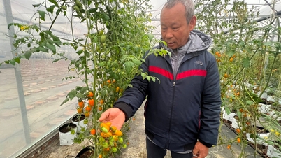 Nông dân Hải Dương thực hiện trên 41.000 giao dịch trên sàn thương mại điện tử