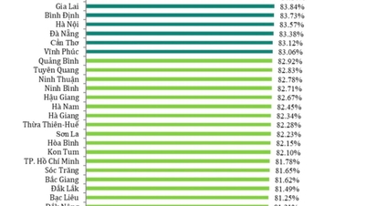 Hai Duong increased 25 ranks in administrative reform index