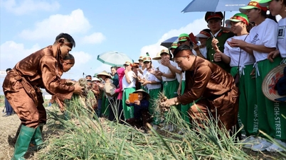 Đồng chí Chủ tịch UBND tỉnh Hải Dương