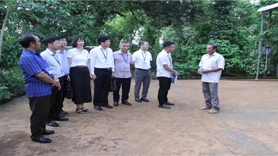 Ông Điểu Mưu, Phó Vụ trưởng Vụ công tác dân tộc địa phương: Giải quyết đất ở, đất sản xuất, nhà ở cho hộ nghèo người DTTS là vấn đề cấp bách ở Tây Nguyên