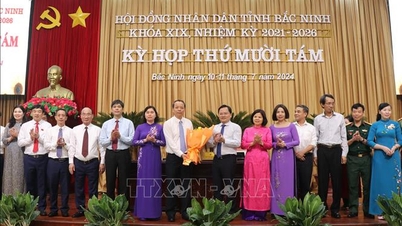 Miễn nhiệm chức danh Chủ tịch HĐND tỉnh và Chủ tịch UBND tỉnh Bắc Ninh