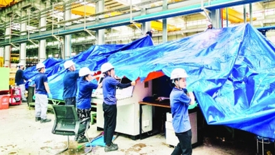 6 nhóm nhiệm vụ, giải pháp trọng tâm khắc phục hậu quả bão số 3, đẩy mạnh khôi phục sản xuất, kinh doanh