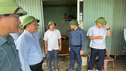Hải Dương phát lệnh báo động số II trên sông Thái Bình