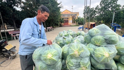 វិស័យផលិតកម្មកសិកម្មចំនួន ៧ ទទួលបានការគាំទ្រផ្នែកហិរញ្ញវត្ថុពីខេត្ត Hai Duong