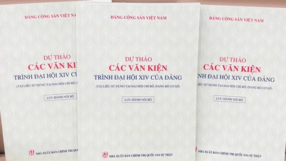សេចក្តីព្រាងច្បាប់ជាតិ ដើម្បីដាក់ជូនមហាសន្និបាតបក្សលើកទី១៤