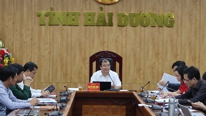 ឃុំ សង្កាត់ និងទីប្រជុំជនថ្មីចំនួន 28 នៅ Hai Duong រៀបចំការបោះឆ្នោតជ្រើសរើសថ្នាក់ដឹកនាំ