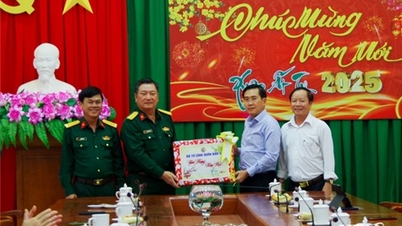 Militärregion 5 önskar Ninh Thuans provinsiella partikommitté ett Gott Nytt År