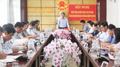 Ninh Phuoc៖ ដាក់ពង្រាយការគ្រប់គ្រងដី និងសណ្តាប់ធ្នាប់សំណង់នៅឆ្នាំ២០២៤