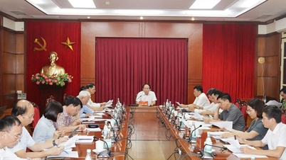 Thông báo kết luận của Ban Chỉ đạo phòng, chống tham nhũng, tiêu cực thành phố tại phiên họp thứ 8