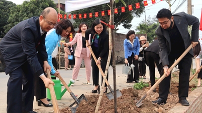 Phụ nữ Hải Dương trồng cây xanh